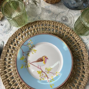 Set Platos Entrada Pájaros