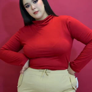 Blusa manga larga cuello alto