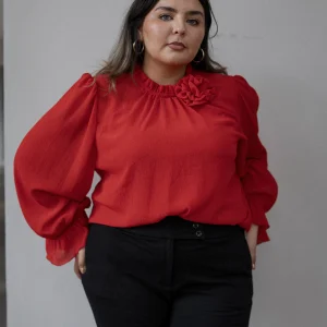 Blusa De Shifon Manga Larga